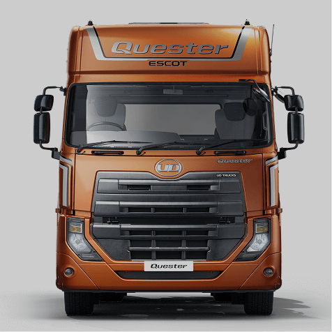 Lori warna jingga dilihat dari depan berlatar belakang kelabu.